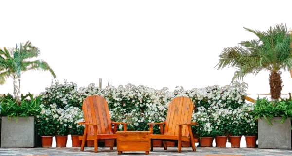 Top Quán CF Checkin ok